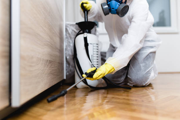 Best Pest Inspection Near Me  in Chesaning, MI