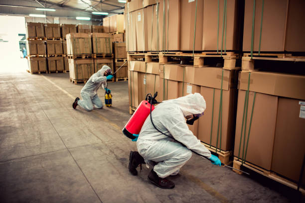 Best Flea Control Services  in Chesaning, MI