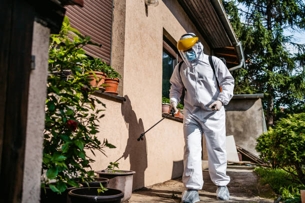 Best Exterminator Services  in Chesaning, MI
