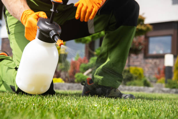 Best Cockroach Control Services  in Chesaning, MI
