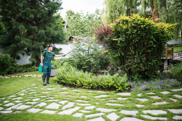 Professional Pest Control in Chesaning, MI