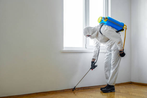 Best Termite Control Services  in Chesaning, MI