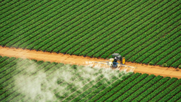 Best Commercial Pest Control Services  in Chesaning, MI