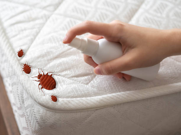 Best Exterminator Services  in Chesaning, MI